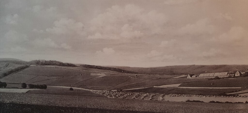 Weinlage Steinberg bei Hattenheim (Ende 19. Jahrhundert)