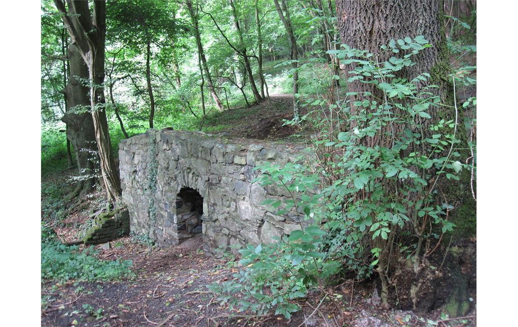 Ruinenhafte Überreste von Mauern der früheren Schleifmühle im Heisterbacher Mühlental (2010)