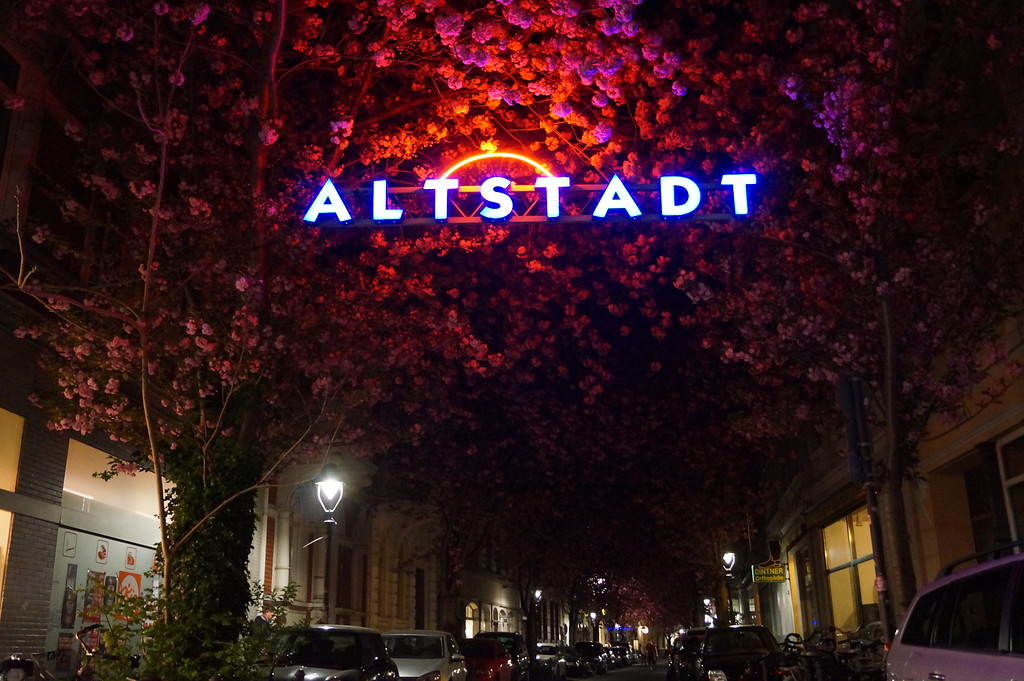 Die Breite Straße in der Bonner Nordstadt wird im Frühjahr von der Blütenpracht japanischer Zierkirschen erfüllt. Im April 2015 bilden die Blüten ein fast geschlossenes Dach über dem Straßenraum. Das Bild zeigt den Straßenraum mit parkenden Autos bei Nacht.