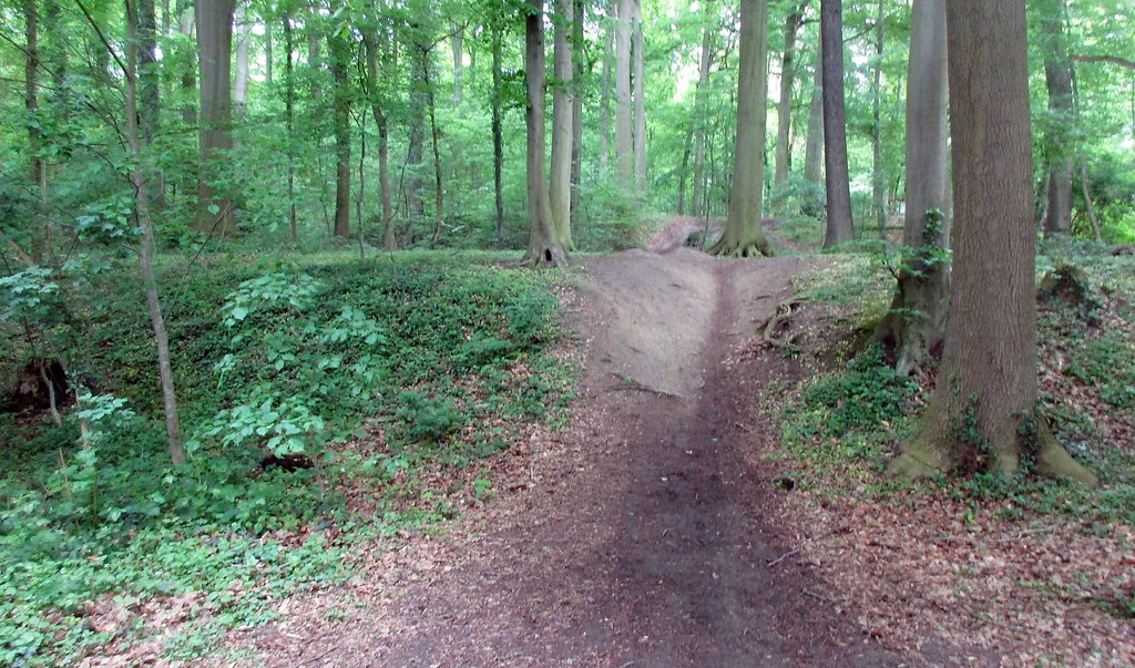Im Gelände noch gut erkennbare Spuren der ehemaligen Fischteiche der Abtei Brauweiler im Königsdorfer Wald, heute als Mountain-Bike-Strecke genutzt (2019).