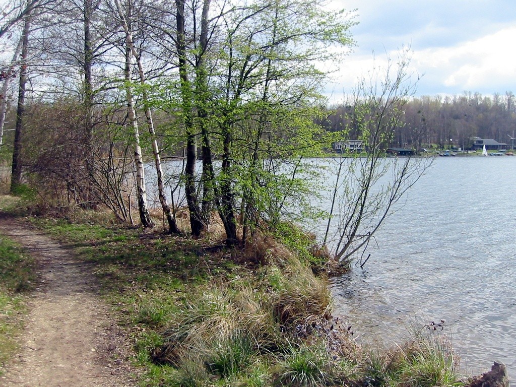 Uferbereich des Liblarer Sees (2010).