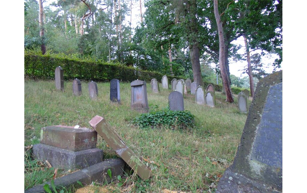 Gräberreihen des jüdischen Friedhofs Kommern (2020)