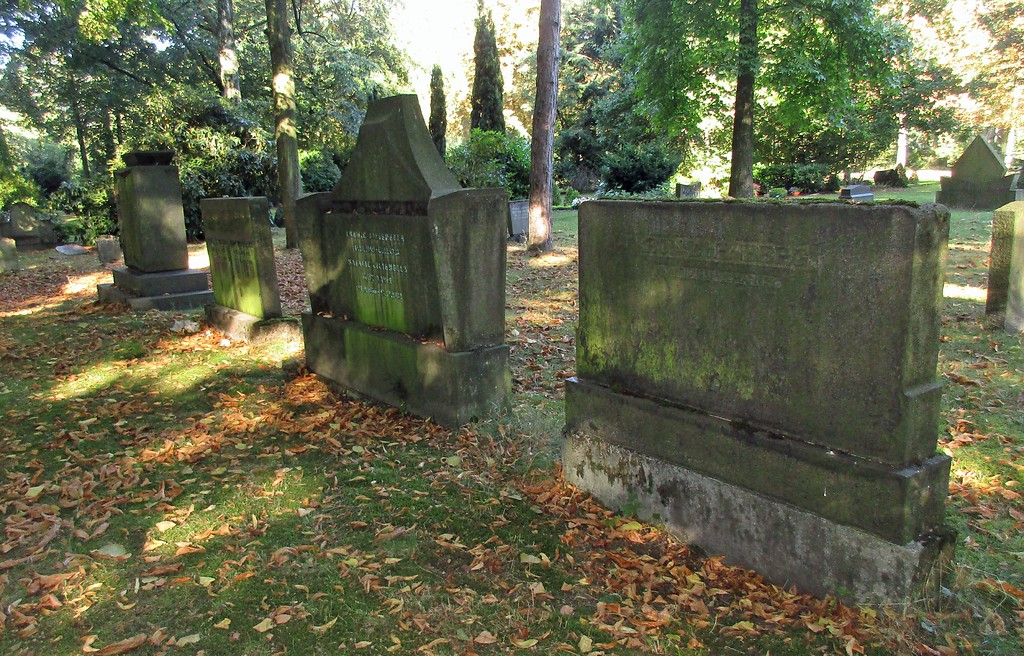 Grabsteine auf dem Gräberfeld 37a des jüdischen Friedhofs auf dem kommunalen Friedhof Sternbuschweg (2016).