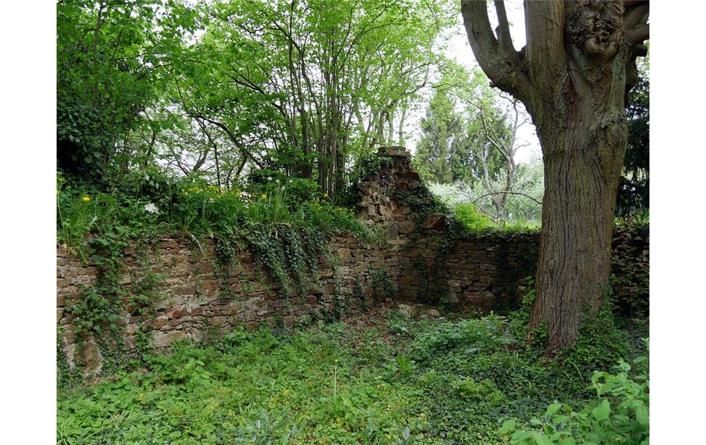 Mauerreste des ehemaligen katholischen Friedhofs in Dörrebach (2016).
