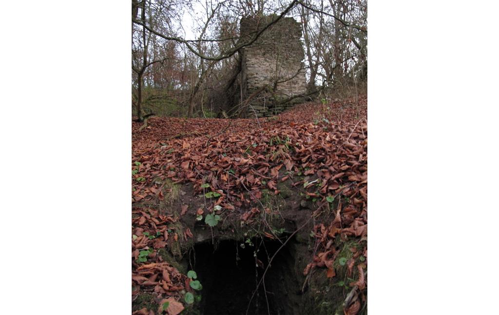 Die Ruine der Beerbachmühle bzw. Beerenbachmühle / Bärbacher Mühle (2012).