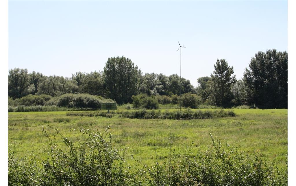 Eine Windradpumpe mit der die Lehmstiche im Naturschutzgebiet "Weseler Aue" wieder vernässt werden (2012).