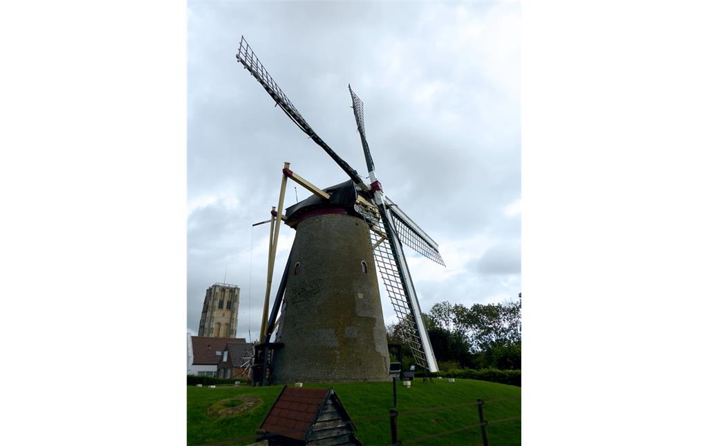 Windmühle De Windvang in Goedereede, Süd-Holland (2017), Ansicht von Norden.