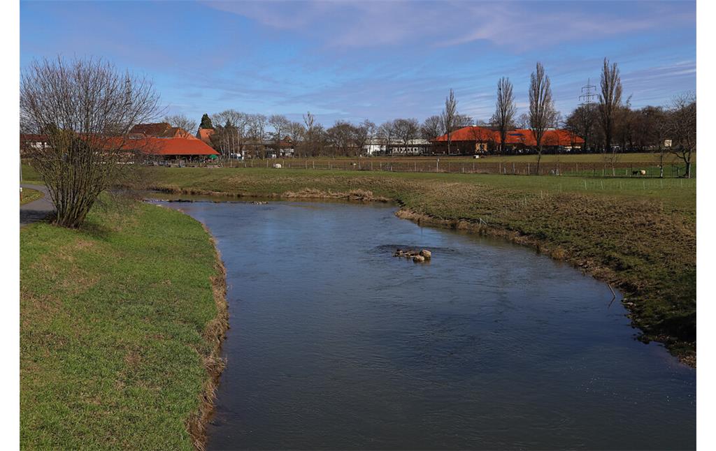 Renaturiertes Teilstück der Nidda bei Bad Vilbel (2021)