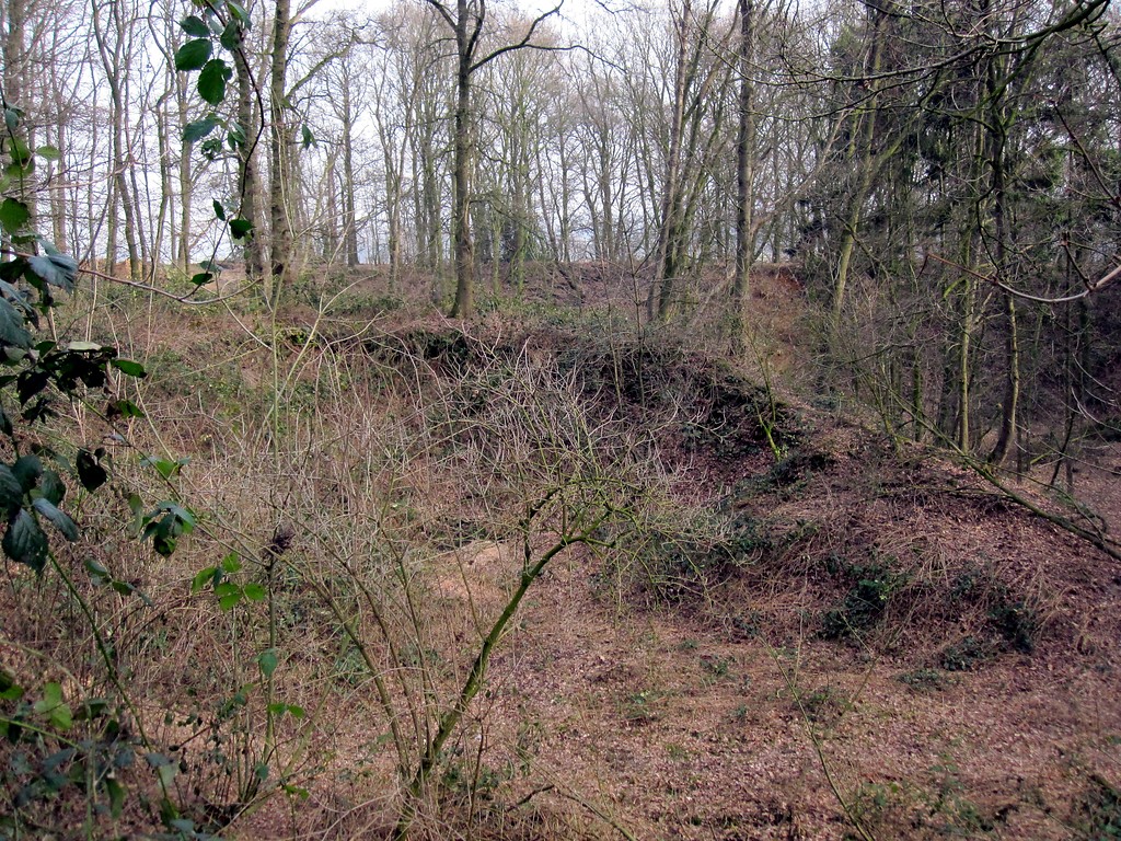 Aufgelassene ehemalige Sand- und Kiesgrube an der Hohen Mühle in Uedem (2011).