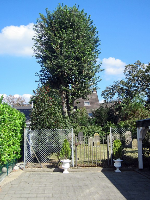 Blick von außen auf den jüdischen Friedhof am Kuhweg in Neuss-Grimlinghausen (2014).