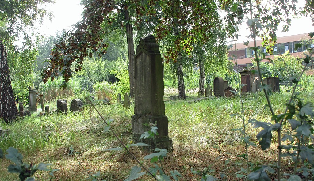 Blick auf das Gräberfeld im westlichen Bereich des Judenfriedhofs in Köln-Deutz (2016).