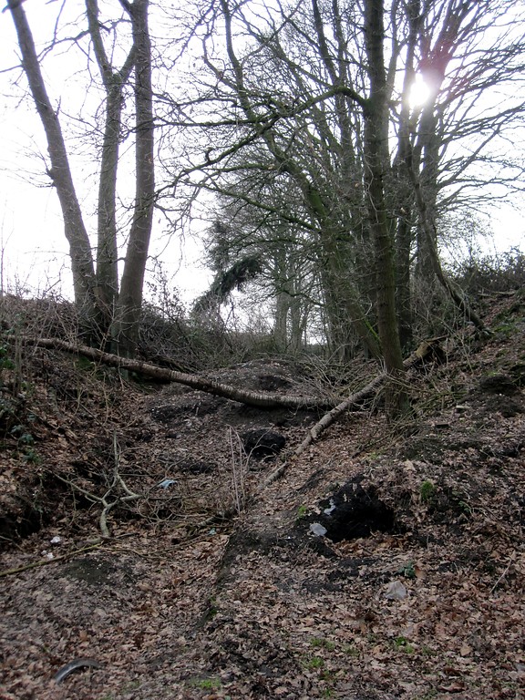 Mit Gartenabfällen teilweise verfüllter Hohlweg in Uedem (2011)