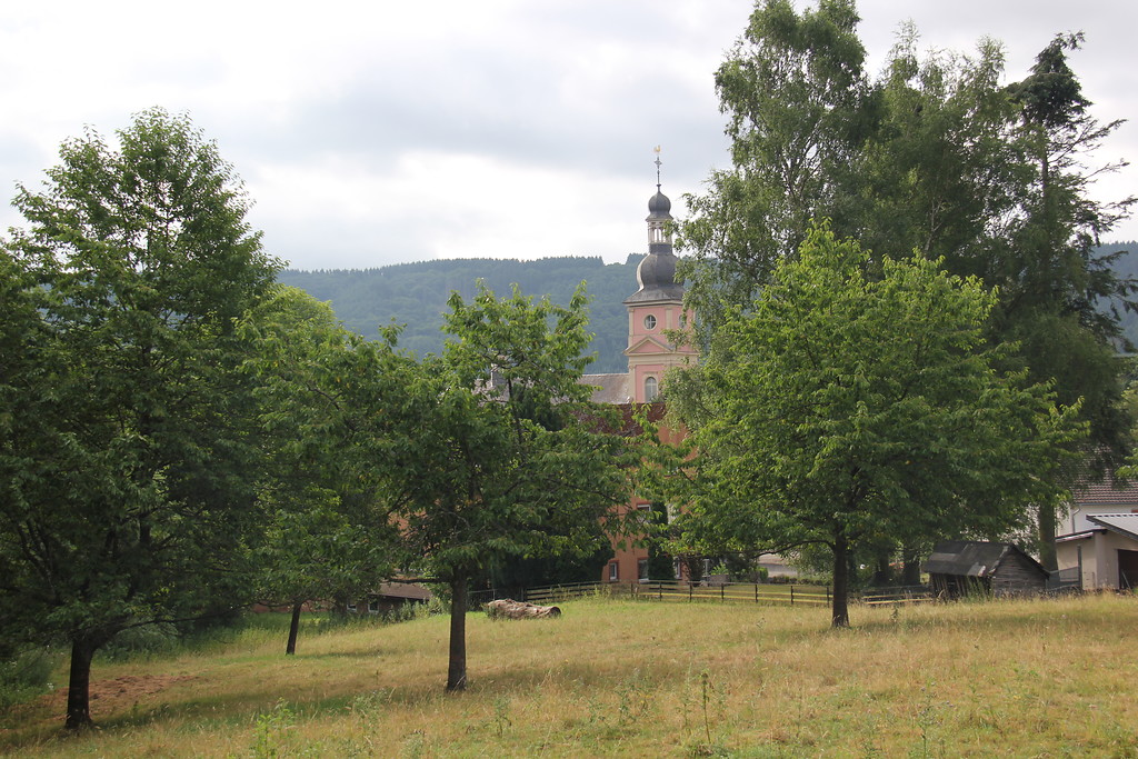 Blick auf die Klosterkirche Springiersbach mit einer Obstwiese im Vordergrund (2015).