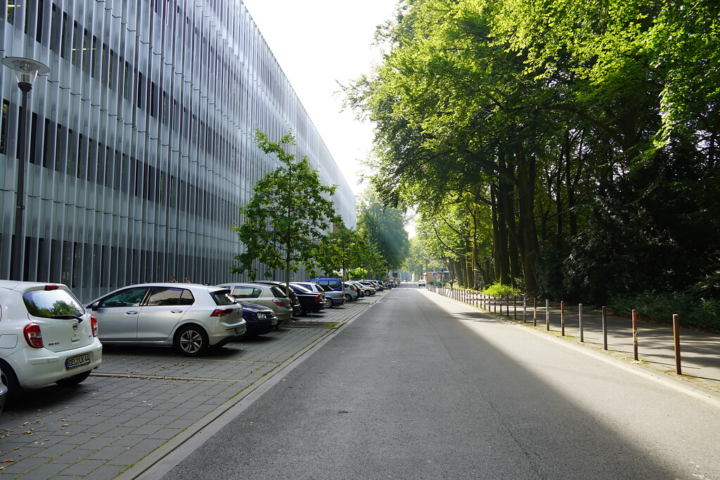 Blick entlang der Straße Am Sportpark Müngersdorf (2021)