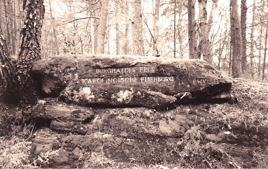 Ritterstein Nr. 219 Burghalder Fels  Karolingische Fliehburg südlich von Hauenstein (1993)
