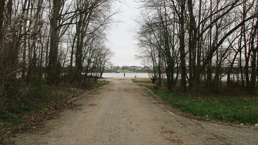 Die Zufahrt auf Rheidter Seite zu der Ersatzübergangsstelle über den Rhein (so genannte "NATO-Rampe") zwischen Bornheim-Widdig und Niederkassel-Rheidt (2024).