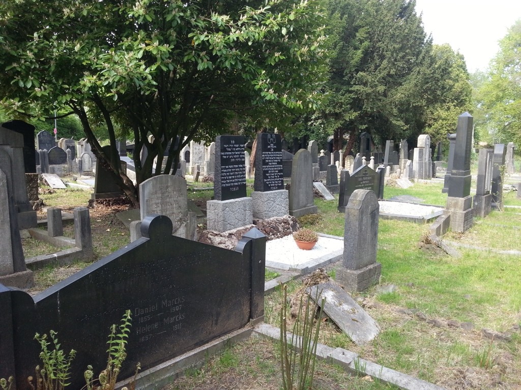 Das Gräberfeld auf dem jüdischen Friedhof in Köln-Deutz (2013).