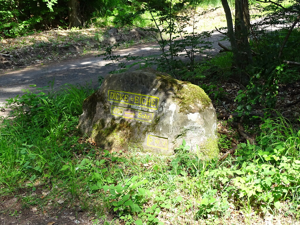 Ritterstein Nr. 118 Dicke Eiche 600 Schr. westlich von Esthal (2019)