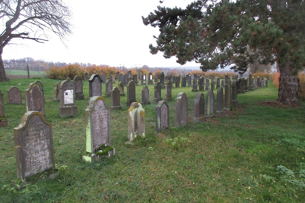 Blick über das Gräberfeld des südlich des Orts gelegenen jüdischen Friedhofs Mertloch (2022).