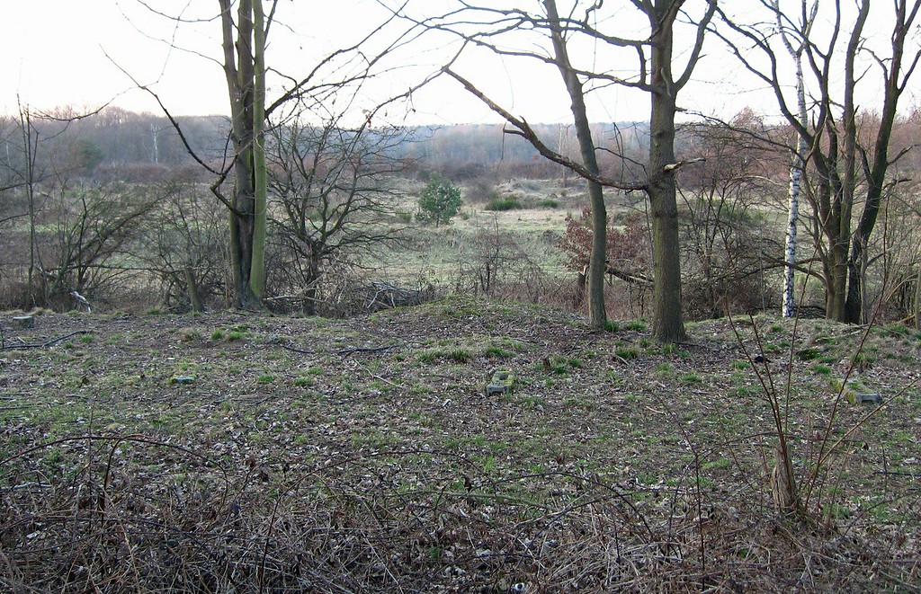 Delbrücker Heide, Fläche im Südwesten (2012).