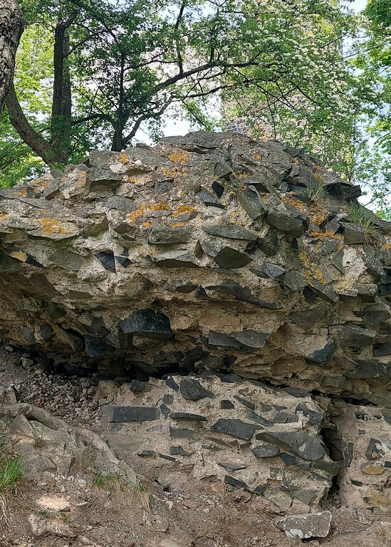 Ruinen des Mauerwerks der 1473 zerstörten und später als Basaltsteinbruch genutzten Tomburg bei Rheinbach-Wormersdorf (2022).