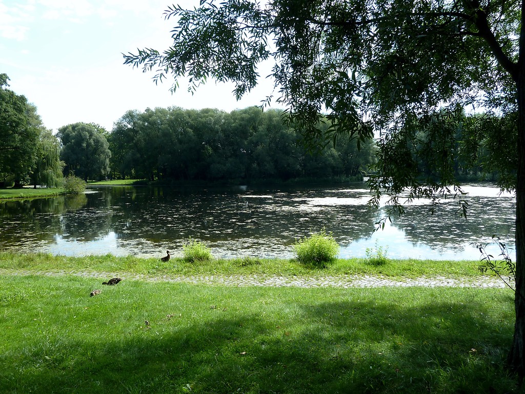 Weiher im Rheinauenpark Bonn (2017)
