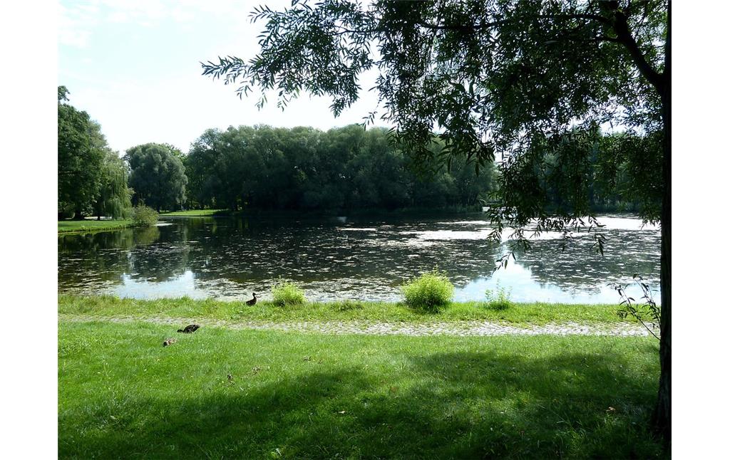 Weiher im Rheinauenpark Bonn (2017)