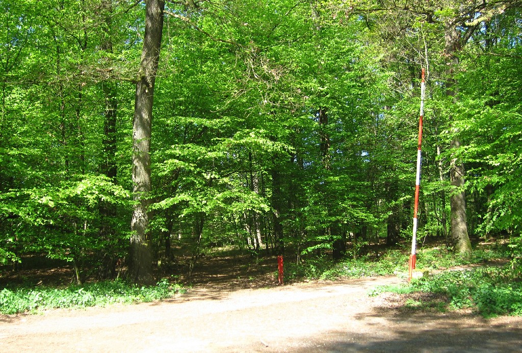 Der Bereich Heuweg / Hasbacher Straße bei Altenrath, wo ein Stück weiter im Wald die "tausendjährige" Boxhohn-Eiche steht (2014).