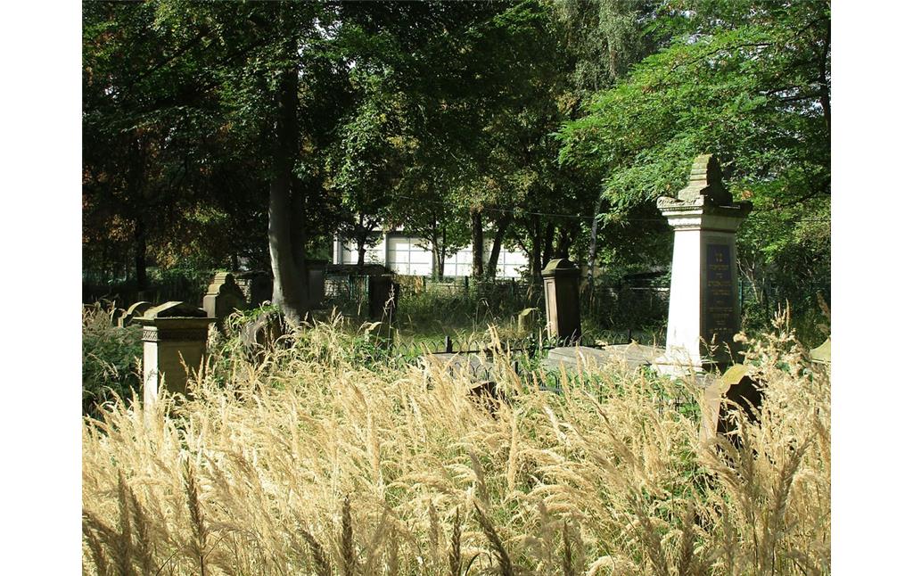 Teil des Gräberfeldes im westlichen Bereich des jüdischen Friedhofs in Köln-Deutz (2016).