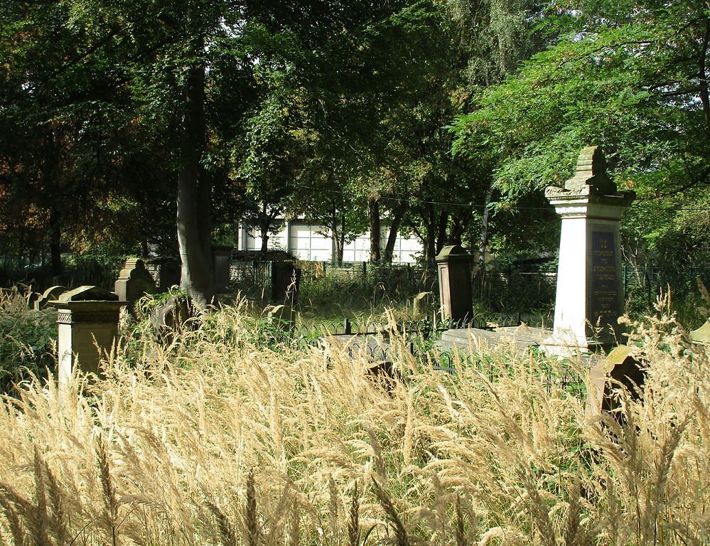 Teil des Gräberfeldes im westlichen Bereich des jüdischen Friedhofs in Köln-Deutz (2016).