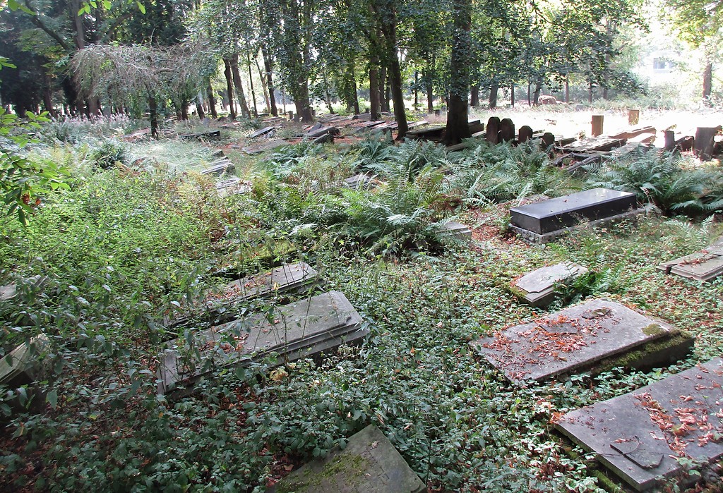 Blick auf das Gräberfeld im westlichen Bereich des jüdischen Friedhofs in Köln-Deutz (2016).