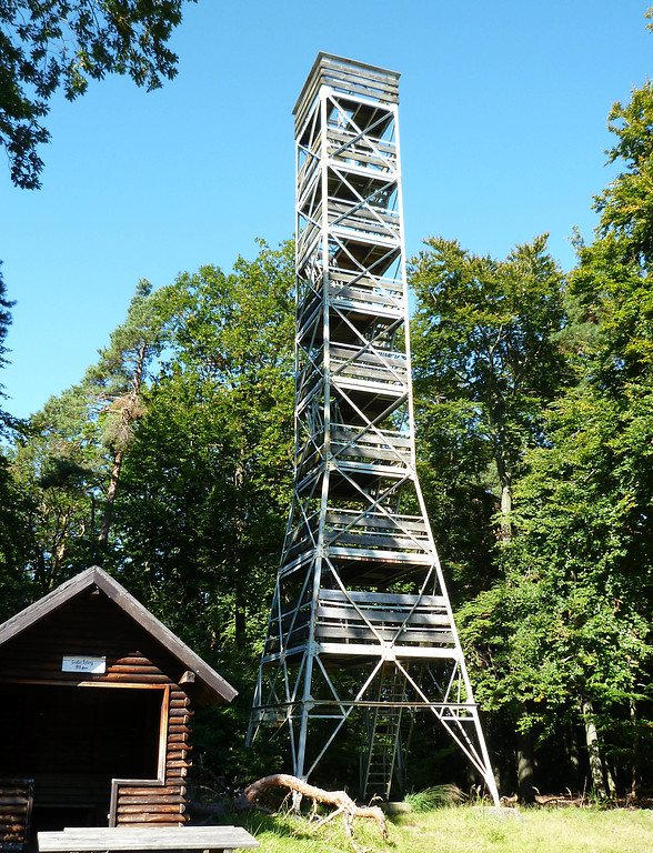 Blick auf den Eybergturm auf dem Großen Eyberg bei Dahn in der Südwestpfalz (2010).