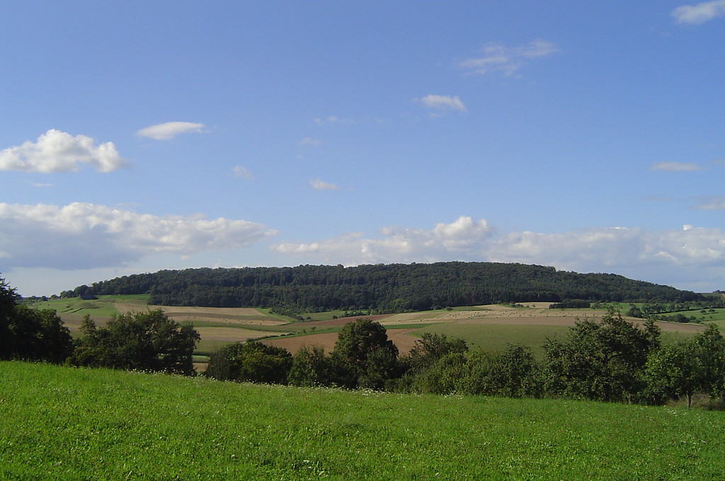 Blick auf die Südostflanke des Glaubergs in Glauburg-Glauberg (2010)
