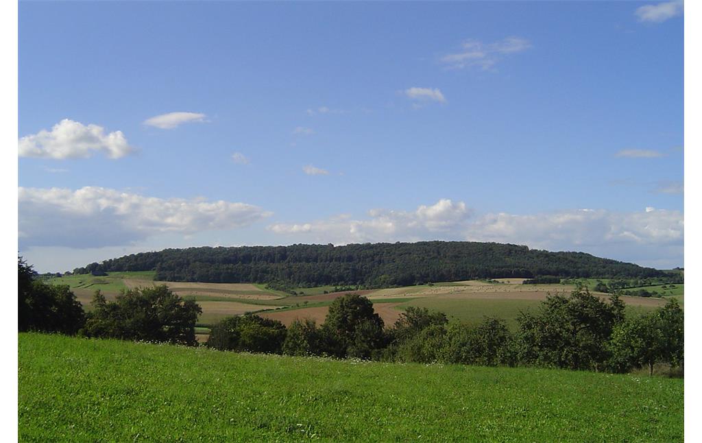 Blick auf die Südostflanke des Glaubergs in Glauburg-Glauberg (2010)