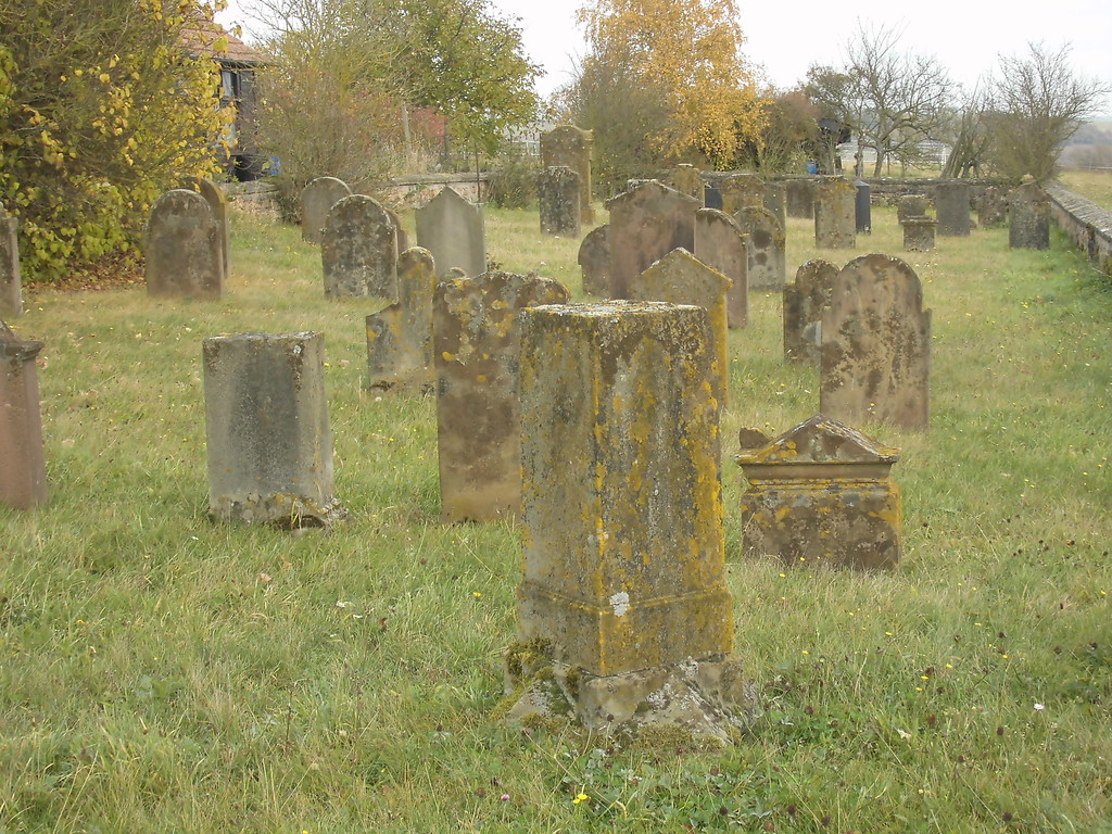 Jüdischer Friedhof in Steinbach am Donnersberg (2017)
