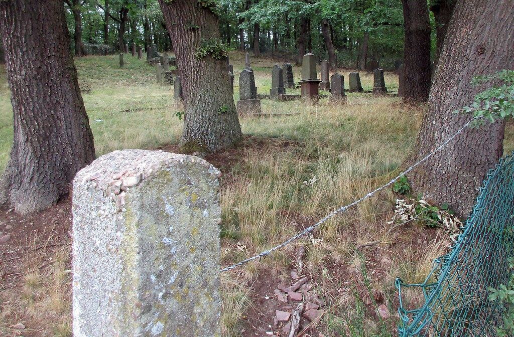 Blick aus südlicher Richtung über das eingezäunte Gräberfeld des jüdischen Friedhofs Mechernich (2020).