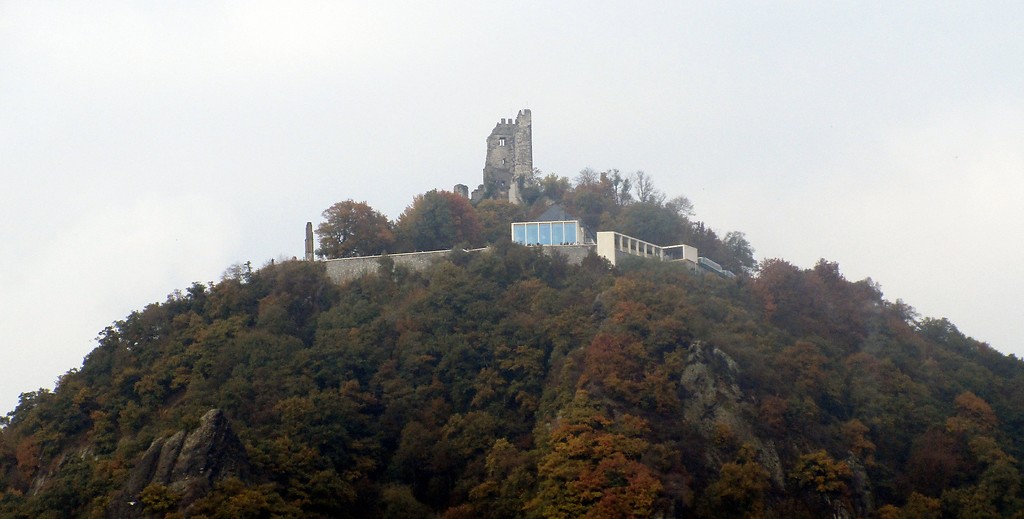 Die Burgruine Drachenfels auf dem gleichnamigen Berg im Siebengebirge, Ansicht von Rhöndorf aus (2016).