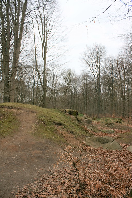 Aufnahme des Großsteingrabs "Langbett Albersdorf 53" im Steinzeitpark Dithmarschen (2019)