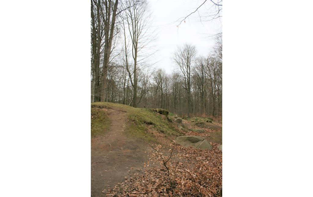 Aufnahme des Großsteingrabs "Langbett Albersdorf 53" im Steinzeitpark Dithmarschen (2019)