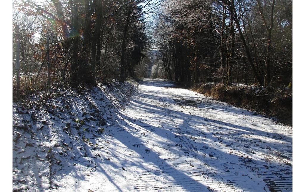 Winterliche Aussicht über die Einfahrt zur historischen Steilstrecke an der Nürburgring-Nordschleife im Bereich des Streckenabschnitts "Hohe Acht" (2021).