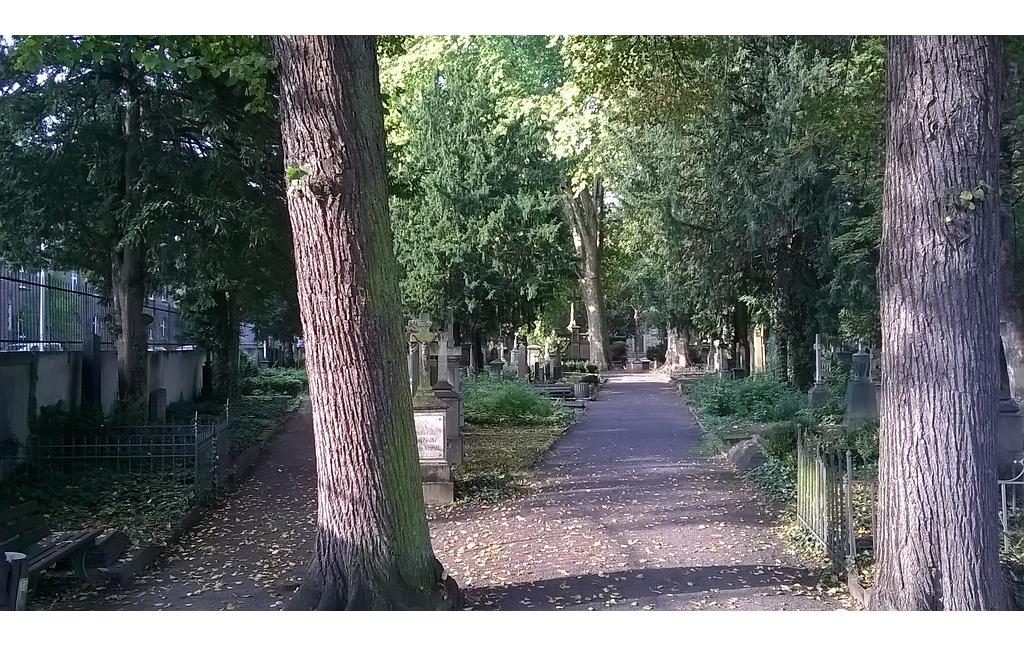 Friedhofsweg mit Gräbern und Grabmalen aus östlicher Richtung auf dem Alten Friedhof in Bonn-Nordstadt (2014).