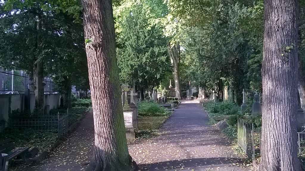 Friedhofsweg mit Gräbern und Grabmalen aus östlicher Richtung auf dem Alten Friedhof in Bonn-Nordstadt (2014).