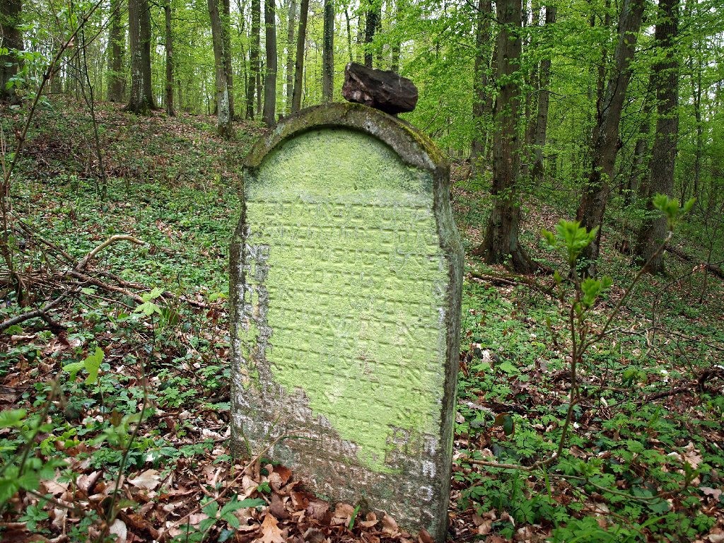 Grabstein auf dem Jüdischen Friedhof im Fürstlich Elzer Wald, Wierschem (2010)