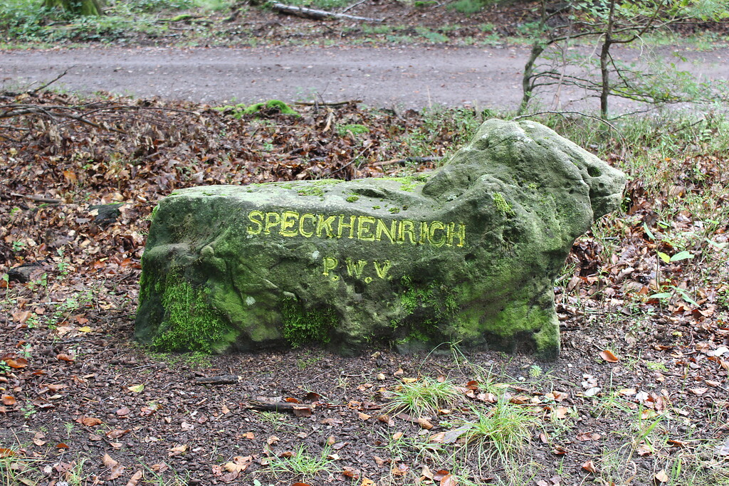 Ritterstein Nr. 98 "Speckhenrich" zwischen Iggelbach und Eschkopf an der K 17 (2021)