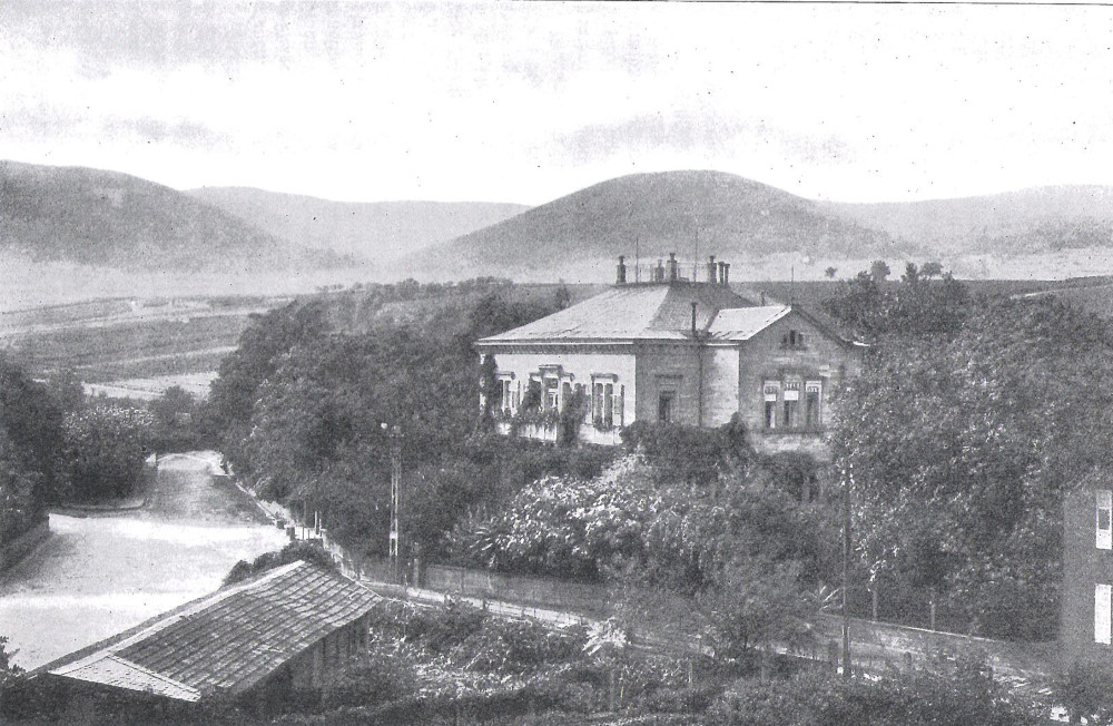 Weingut von Winning in Deidesheim um 1914