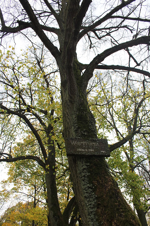 Hinweisschild des Wartturms an einem Baum im Schillerhain (2017).