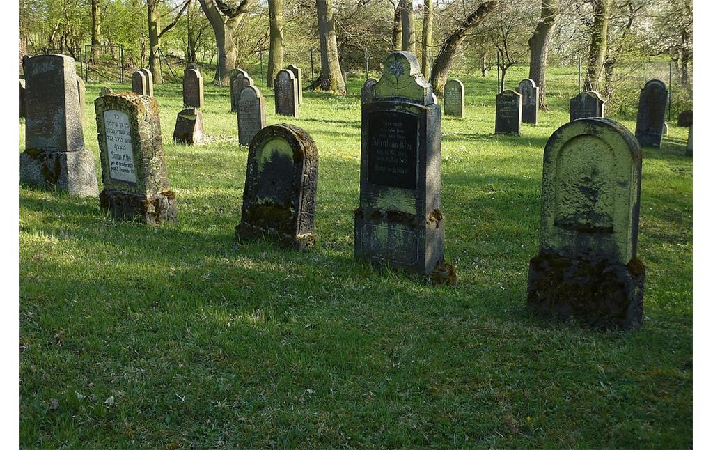Gräberfeld des jüdischen Friedhofs in Andernach-Miesenheim (2010)