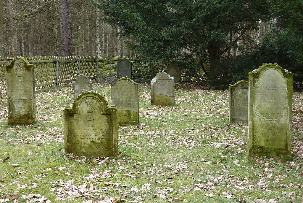 Gräberfeld auf dem Alten Jüdischen Friedhof "Auf der Heide" in Remagen (2010).