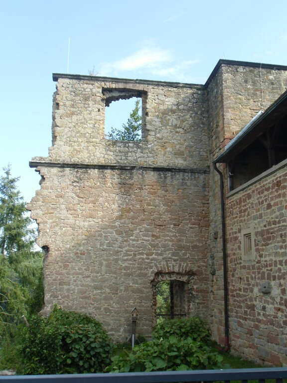 Burgruine Altleiningen von Nordwesten (2021)
