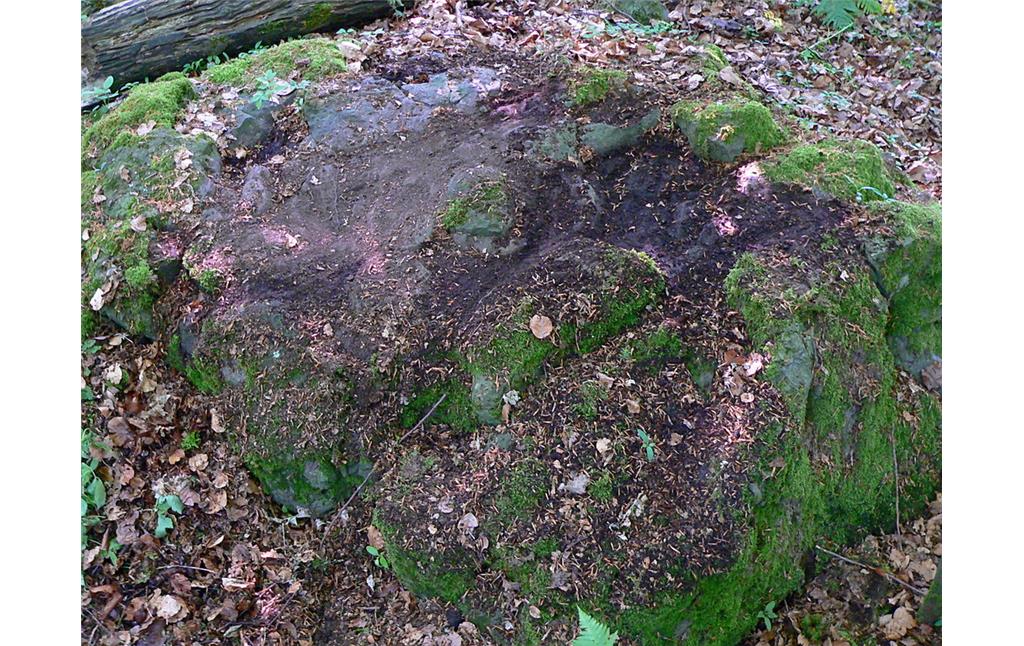Der ehemalige Opferstein der keltischen Ringwallanlage auf dem Barsberg bei Bongard (2008).